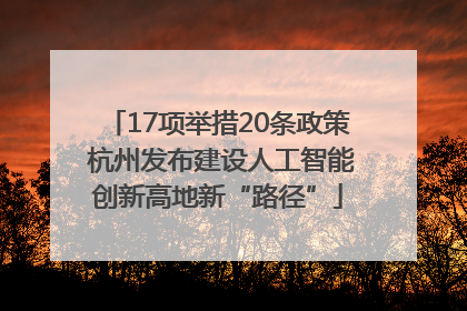 17项举措20条政策 杭州发布建设人工智能创新高地新“路径”