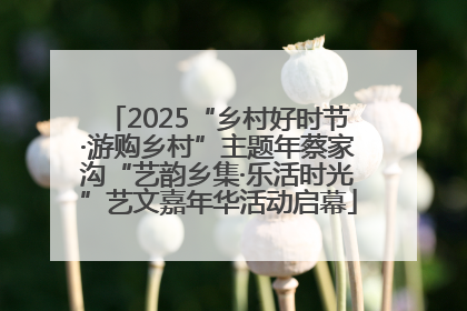 2025“乡村好时节·游购乡村”主题年蔡家沟“艺韵乡集·乐活时光”艺文嘉年华活动启幕