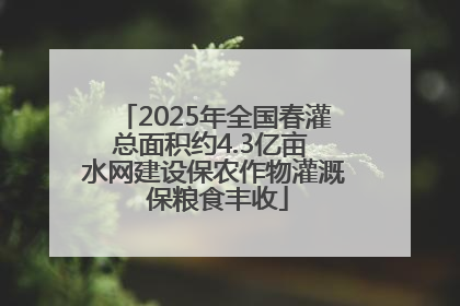 2025年全国春灌总面积约4.3亿亩 水网建设保农作物灌溉 保粮食丰收