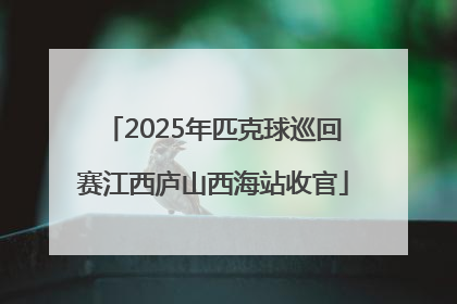 2025年匹克球巡回赛江西庐山西海站收官
