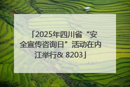 2025年四川省“安全宣传咨询日”活动在内江举行& 8203