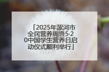 2025年漯河市全民营养周暨5·20中国学生营养日启动仪式顺利举行