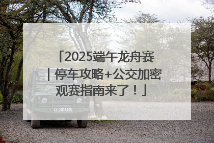 2025端午龙舟赛｜停车攻略+公交加密 观赛指南来了！