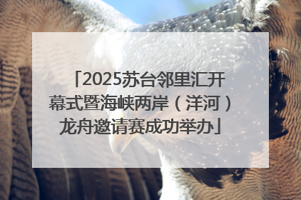 2025苏台邻里汇开幕式暨海峡两岸（洋河）龙舟邀请赛成功举办