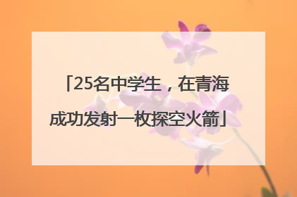 25名中学生，在青海成功发射一枚探空火箭