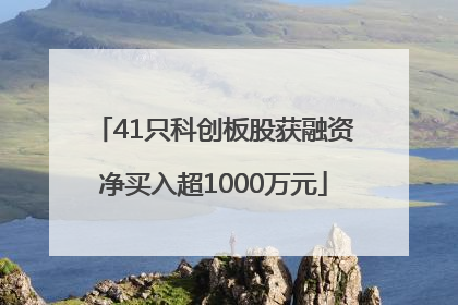 41只科创板股获融资净买入超1000万元