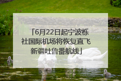 6月22日起宁波栎社国际机场将恢复直飞新疆吐鲁番航线