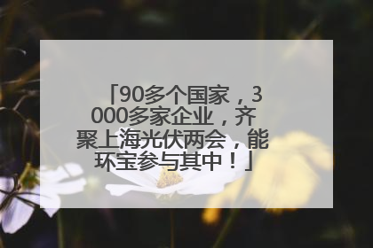 90多个国家，3000多家企业，齐聚上海光伏两会，能环宝参与其中！
