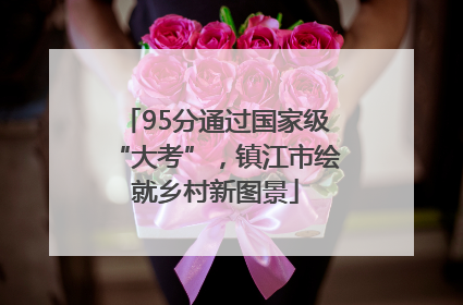 95分通过国家级“大考”，镇江市绘就乡村新图景