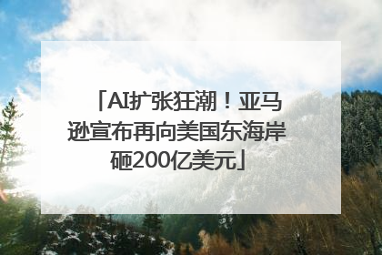 AI扩张狂潮！亚马逊宣布再向美国东海岸砸200亿美元